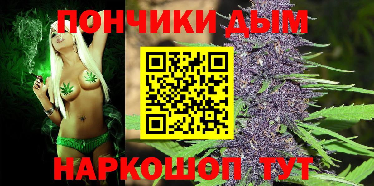 Марихуана тримм  Бошки марихуана AK-47  Брянск  Марихуана план  Вход с VPN 